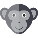wildlife, Animals, Animal Kingdom, zoo, monkey DarkGray icon