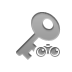 Key, Binoculars Gray icon