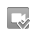 checkmark, video Gray icon