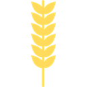 Wheat, Grain, food, Wheat Grain, nature, grains, Wheat Plant Black icon