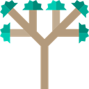 ecology, Botanical, nature, Tree, Joshua Tree Black icon