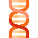 education, Deoxyribonucleic Acid, Biology, Dna Structure, medical, dna, Genetical, science Black icon