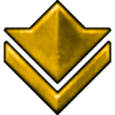 bronze Black icon