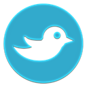 bird LightSeaGreen icon