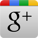 grey, Googleplus Silver icon