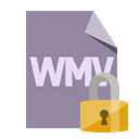 File, Wmv, Lock, Format LightSlateGray icon