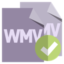 Format, checkmark, File, Wmv LightSlateGray icon