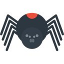 insect, Animal Kingdom, Arachnid, spider, Animals DarkSlateGray icon