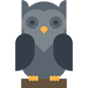 Animal Kingdom, bird, hunter, owl, Wild Life, Animals DimGray icon