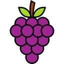 fruits, Grapes, Bouquet, Fruit, Berry, food, grape, Berries, Food And Restaurant Black icon