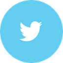 twitter SkyBlue icon