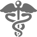 health, sign DimGray icon