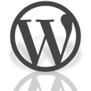 Mirror, Alt, Wordpress DarkSlateGray icon