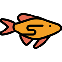Animal, fish, Supermarket, Meats, meat, fishes, Foods, Animals, food Black icon