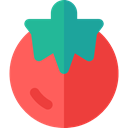 diet, Tomato, Healthy Food, vegan, Food And Restaurant, food, organic, Fruit, vegetarian Tomato icon