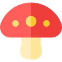 Food And Restaurant, Fungi, Muscaria, nature, Mushroom, food Tomato icon