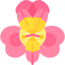 Alstroemeria, Botanical, Flower, petals, blossom, nature HotPink icon