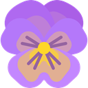 Flower, petals, blossom, Pansy, nature, Botanical MediumPurple icon