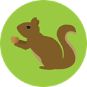 Animal, zoo, Animals, squirrel, Wild Life, Animal Kingdom YellowGreen icon