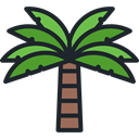 nature, Beach, summer, tropical, Summertime, Palm Tree, Botanical DarkSlateGray icon