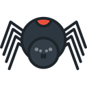 insect, spider, Animals, Arachnid, Animal Kingdom DarkSlateGray icon