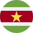 world, flag, Suriname, flags, Country, Nation DarkRed icon