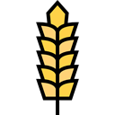 food, nature, Wheat, Grain, grains, Wheat Grain, Wheat Plant, Farming And Gardening Black icon