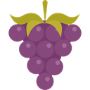 food, Fruit, fruits, Berries, grape, Berry, Grapes, Bouquet, Food And Restaurant DimGray icon