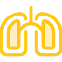 Lung, Healthcare And Medical, medical, organ, Lungs, Breath, Anatomy Gold icon