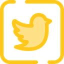 social media, social network, logotype, Logos, Logo, twitter, Brands And Logotypes Gold icon