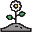Flower, nature, petals, blossom, Botanical, Poppy, Ecology And Environment Black icon