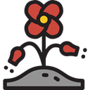 Poppy, Ecology And Environment, Flower, nature, petals, blossom, Botanical Black icon