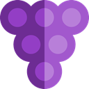 Bouquet, Food And Restaurant, Berries, grape, Berry, Grapes, food, Fruit, fruits MediumOrchid icon