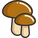 food, Muscaria, Food And Restaurant, Mushroom, nature, Mushrooms, Fungi DarkGoldenrod icon