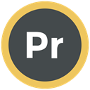 adobe, premiere pro icon, Format, Extension DarkSlateGray icon
