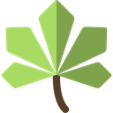 plant, Leaf, nature, halloween, garden, maple leaf, Botanical DarkKhaki icon