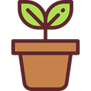 plant, Leaf, nature, leave, garden, leaves, Botanical Peru icon