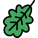plant, Leaf, nature, garden, Botanical, Oak Leaf MediumSeaGreen icon