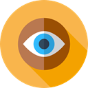view, medical, interface, Eye, visible, Visibility, Seo And Web SandyBrown icon
