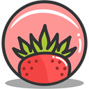 strawberry, summer, nutrition LightSalmon icon