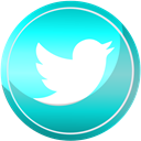 twitter, Social, media, Contact, web DarkTurquoise icon