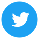 media, network, twitter, social media, Social, Circled, twitter bird DodgerBlue icon