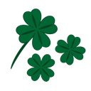 success, luck, Leaf, Clover, Patrick, fortune, quatrefoil DarkGreen icon