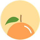 Citrus, Orange, health, food, nutrition NavajoWhite icon