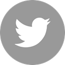 Social, media, online, twitter DarkGray icon