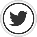 online, Logo, Social, twiiter, media DarkSlateGray icon