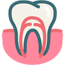 gums tooth, gum, dental treatment, root canal, Dentist, tooth, dental LightCoral icon