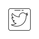 Logo, twitter, name, social media Black icon