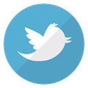 Logo, twitter, bird, website, Account, tweets, short messages MediumTurquoise icon