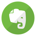 Logo, Evernote, website OliveDrab icon